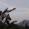kaynabaldwin